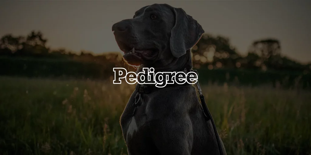 pedigree-website-cover